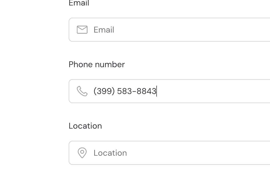 Format phone number fields automatically voxel guide